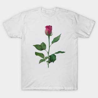 Watercolor rose T-Shirt